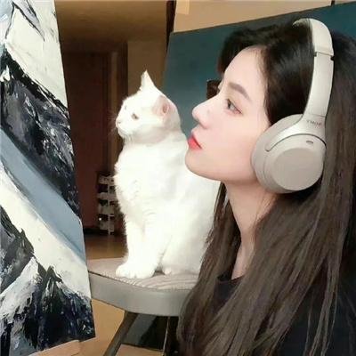亿万富犬 在线观看