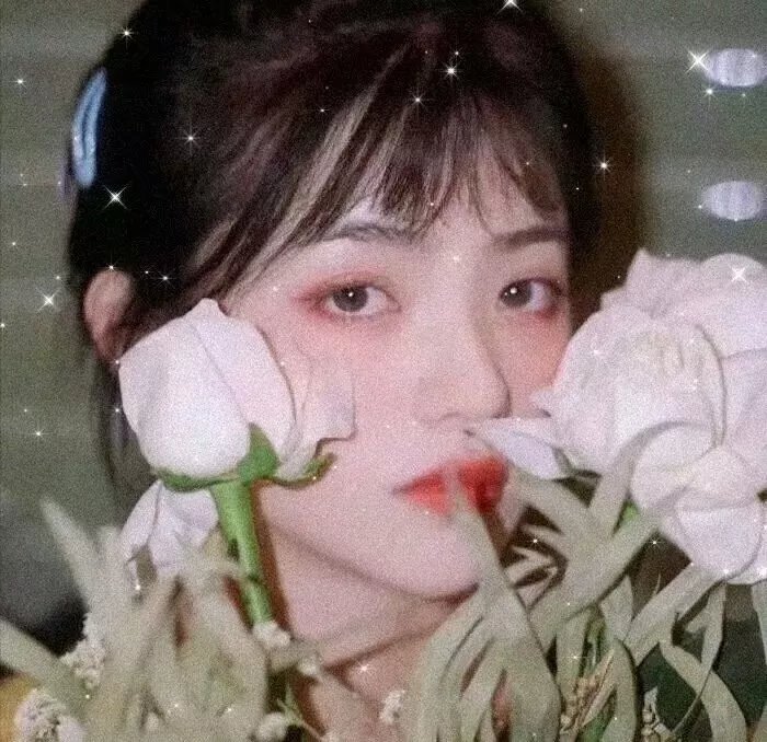 梅根失踪 在线观看